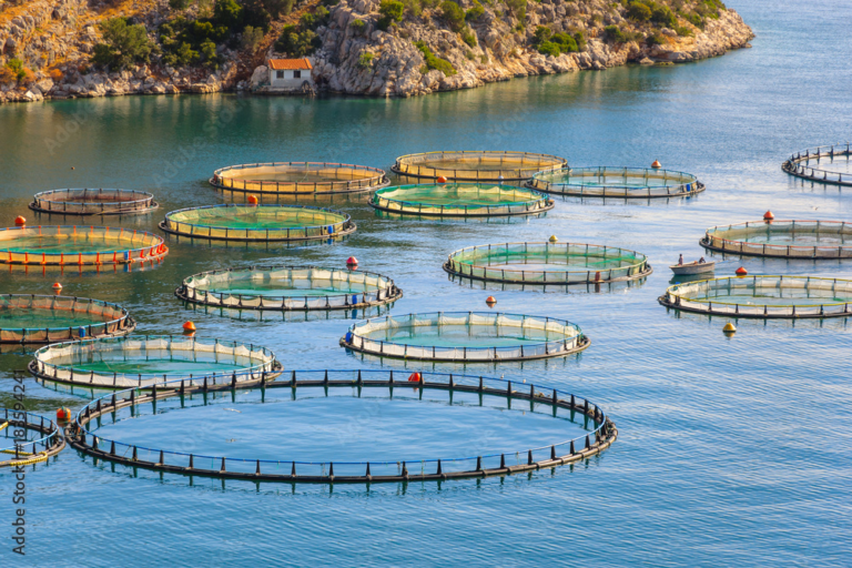How Does an Oxygen Generation for Fish Farm Work and What Are the Benefits?